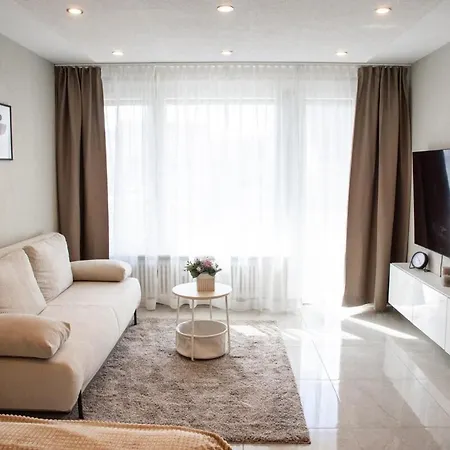 Stylisches Apartment, Naehe Mb Werk, Ausstattung, Zentral Und Sonnig